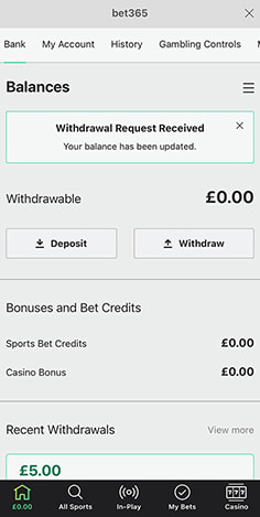 Casino Cashier with Enter Withdrawal Amount