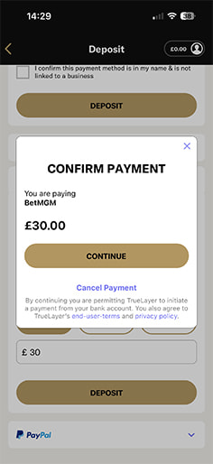 Review and Authorise the BetMGM Bank Transfer Deposit