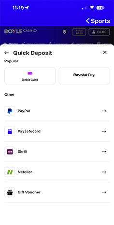 Boyle Casino Cashier with Payment Methods