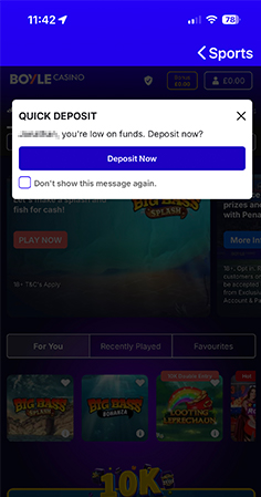 BoyleCasino Cashier with Payment Methods