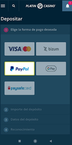 Cajero con los métodos de pago disponibles en Platincasino