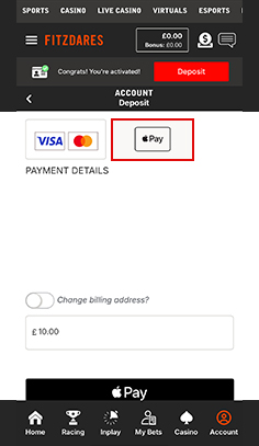 Fitzdares Casino Cashier with Payment Methods