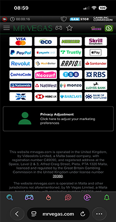 Mr Vegas Cashier with Payment Methods