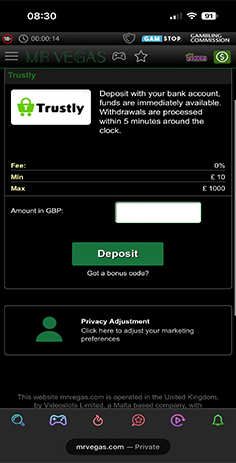 Mr Vegas Casino Cashier with Select Deposit Amount