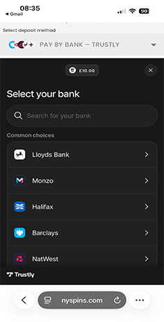 Choose Your Bank for the Trustly Deposit at NY Spins